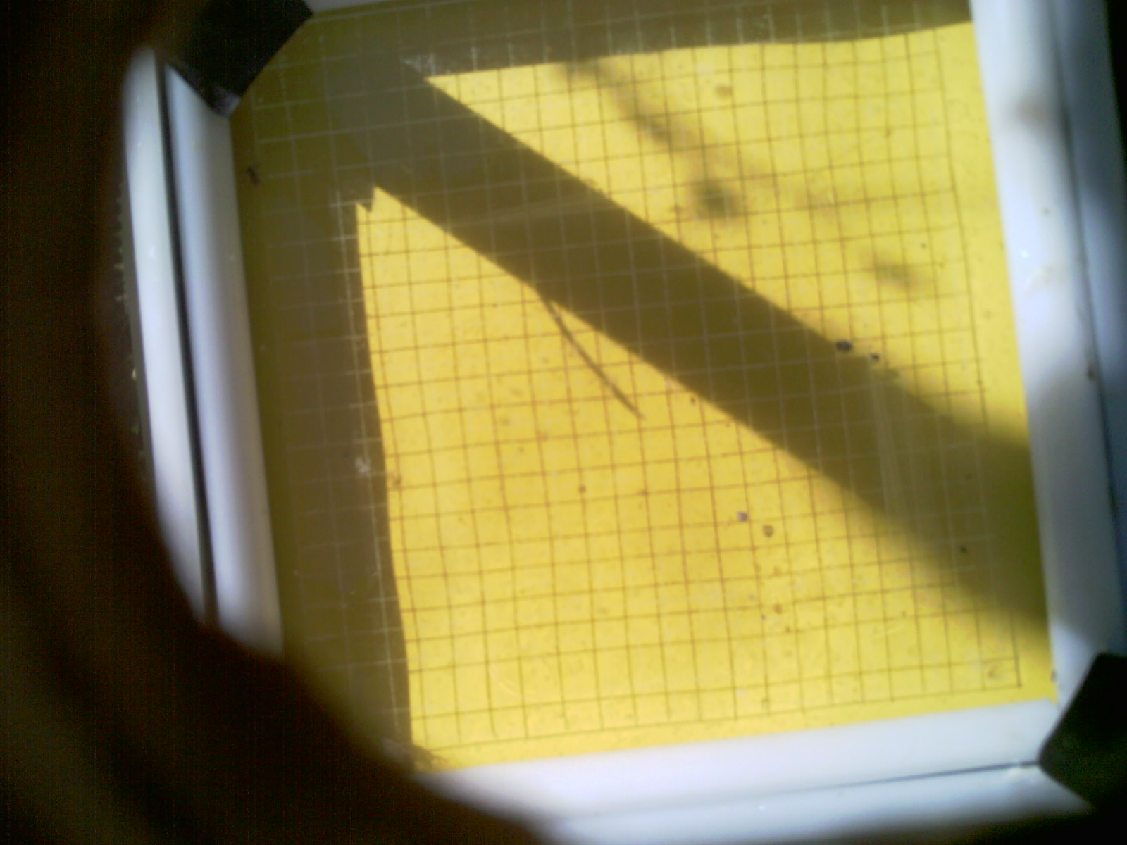 20260703_100905_UXGA_Q3.jpg