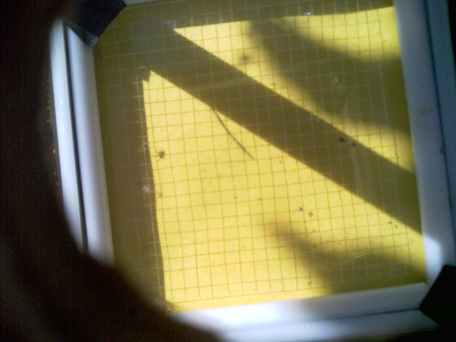 20260703_101841_UXGA_Q3.jpg