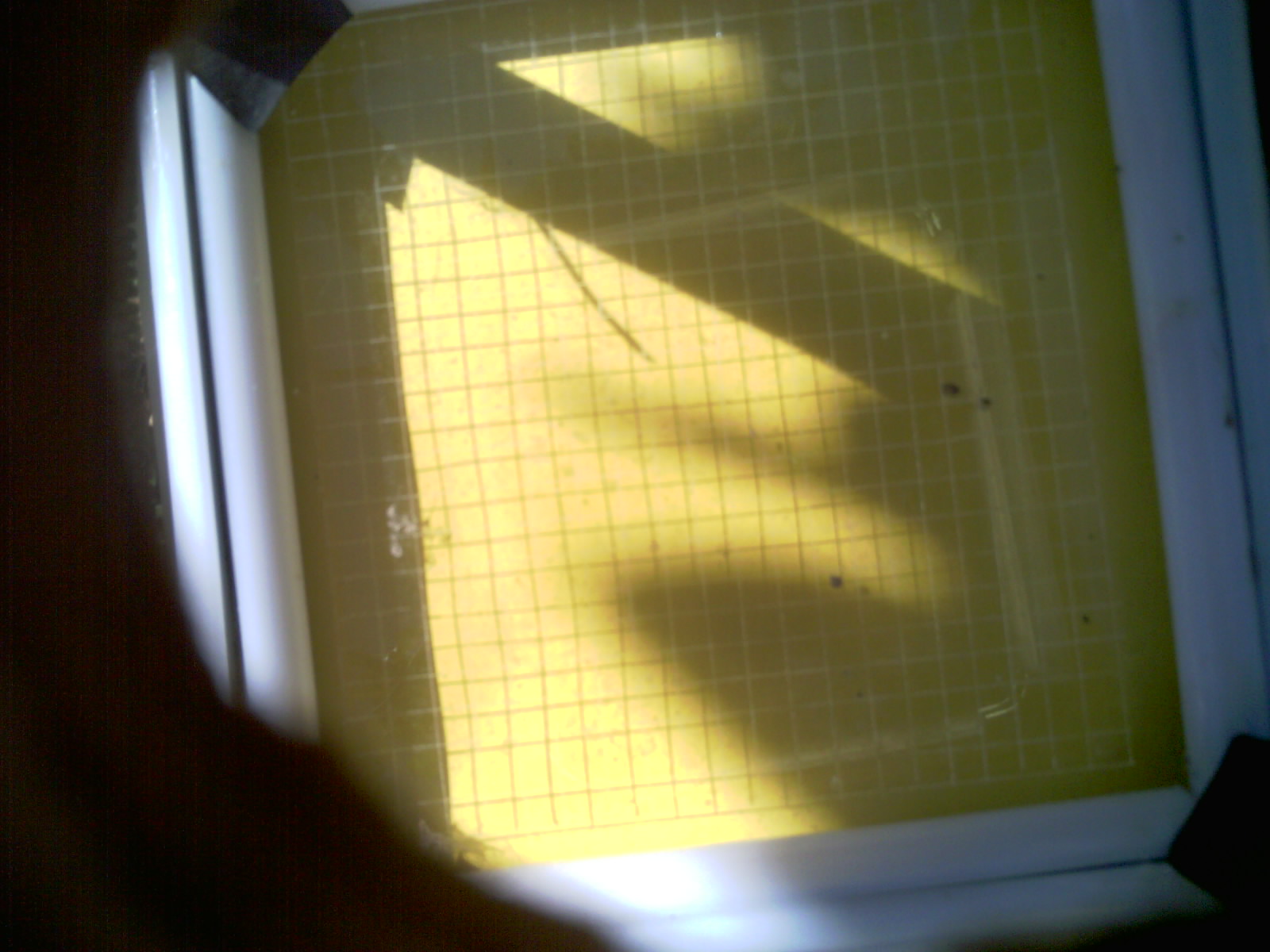 20260703_104207_UXGA_Q3.jpg