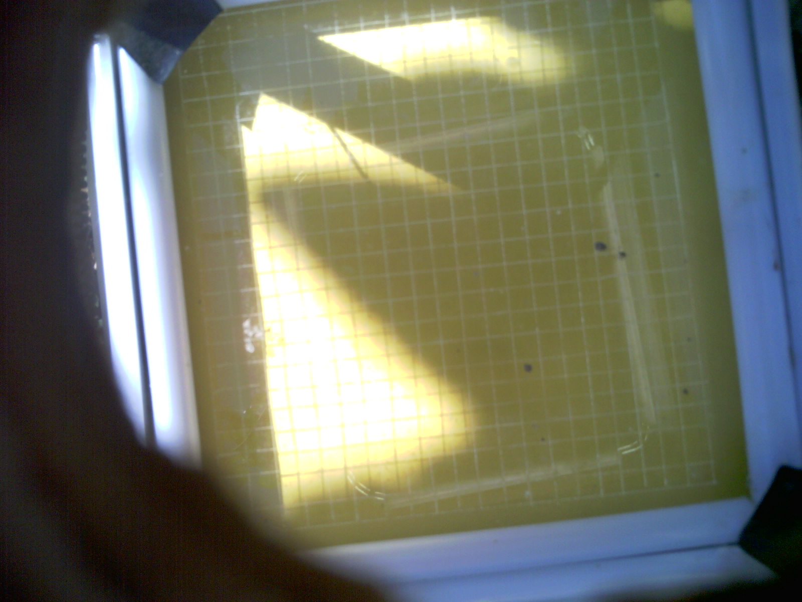 20260703_104810_UXGA_Q3.jpg