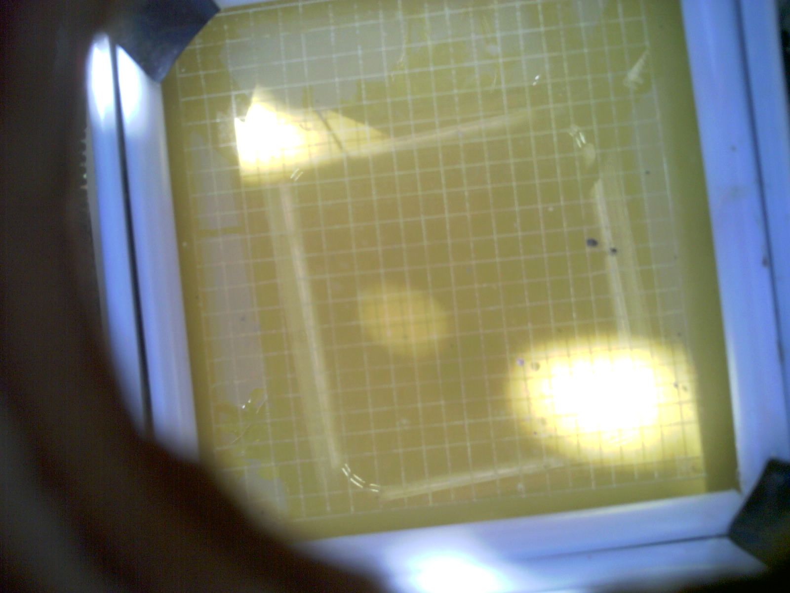 20260703_110453_UXGA_Q3.jpg