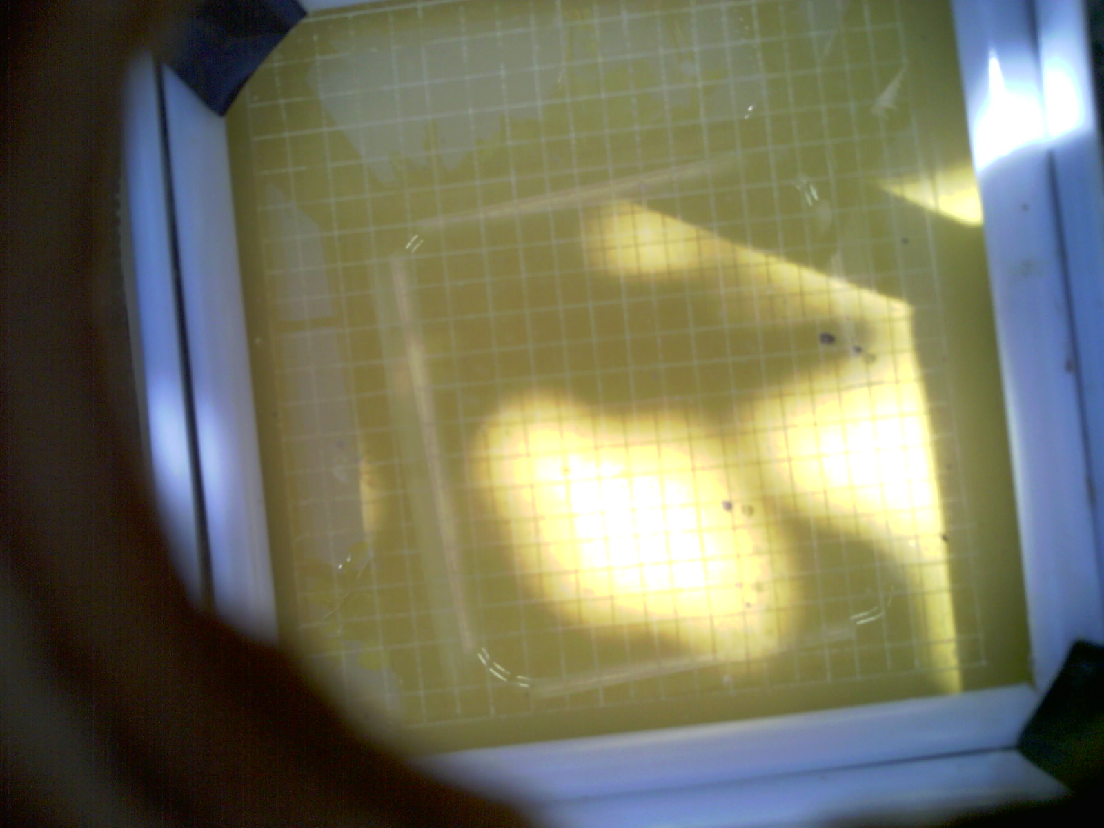 20260703_111408_UXGA_Q3.jpg