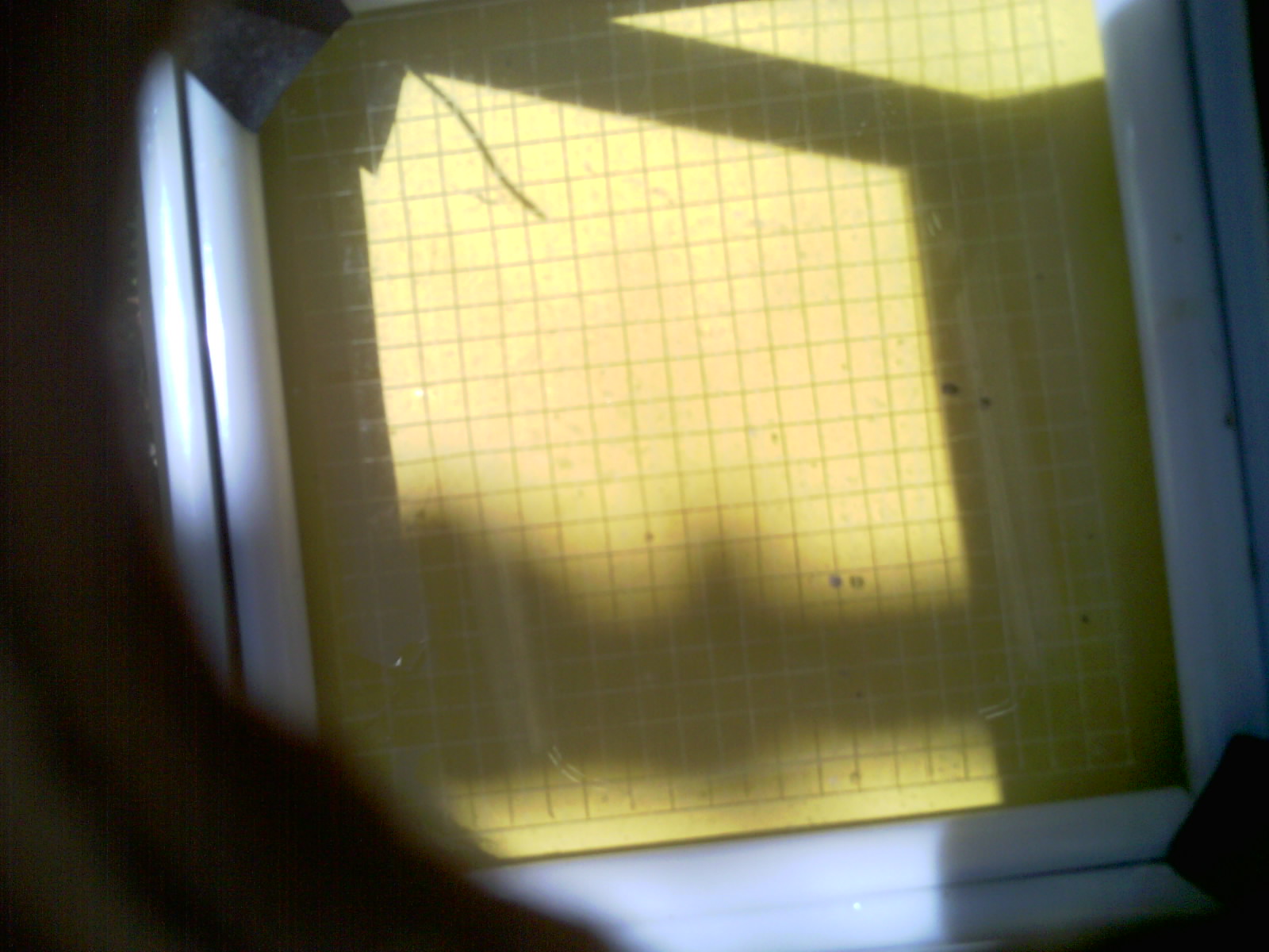 20260703_114530_UXGA_Q3.jpg