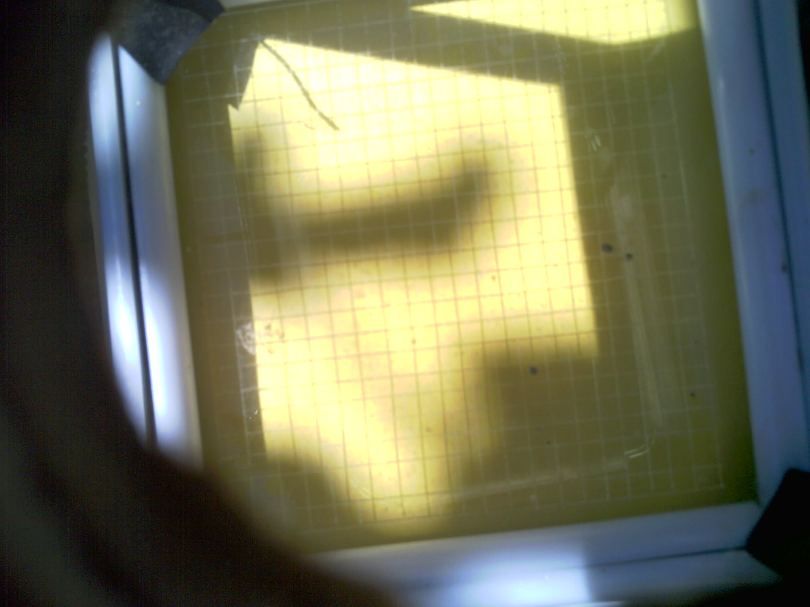 20260703_115300_UXGA_Q3.jpg