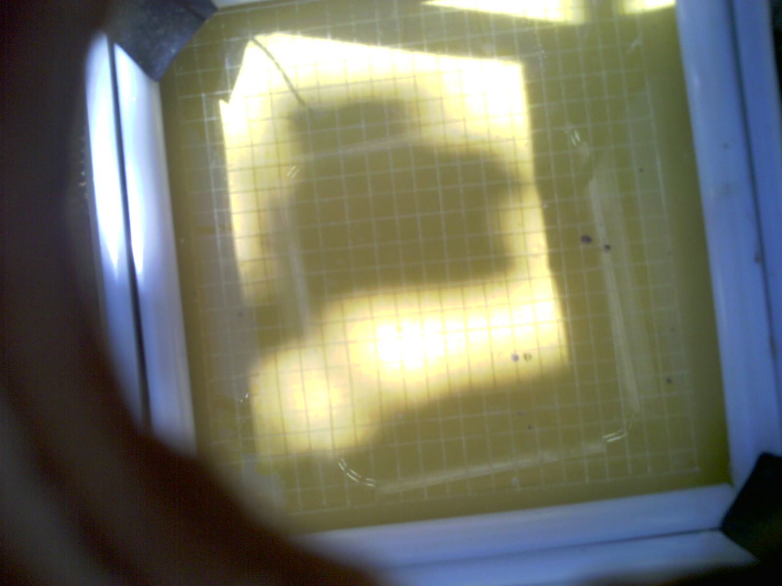 20260703_120016_UXGA_Q3.jpg