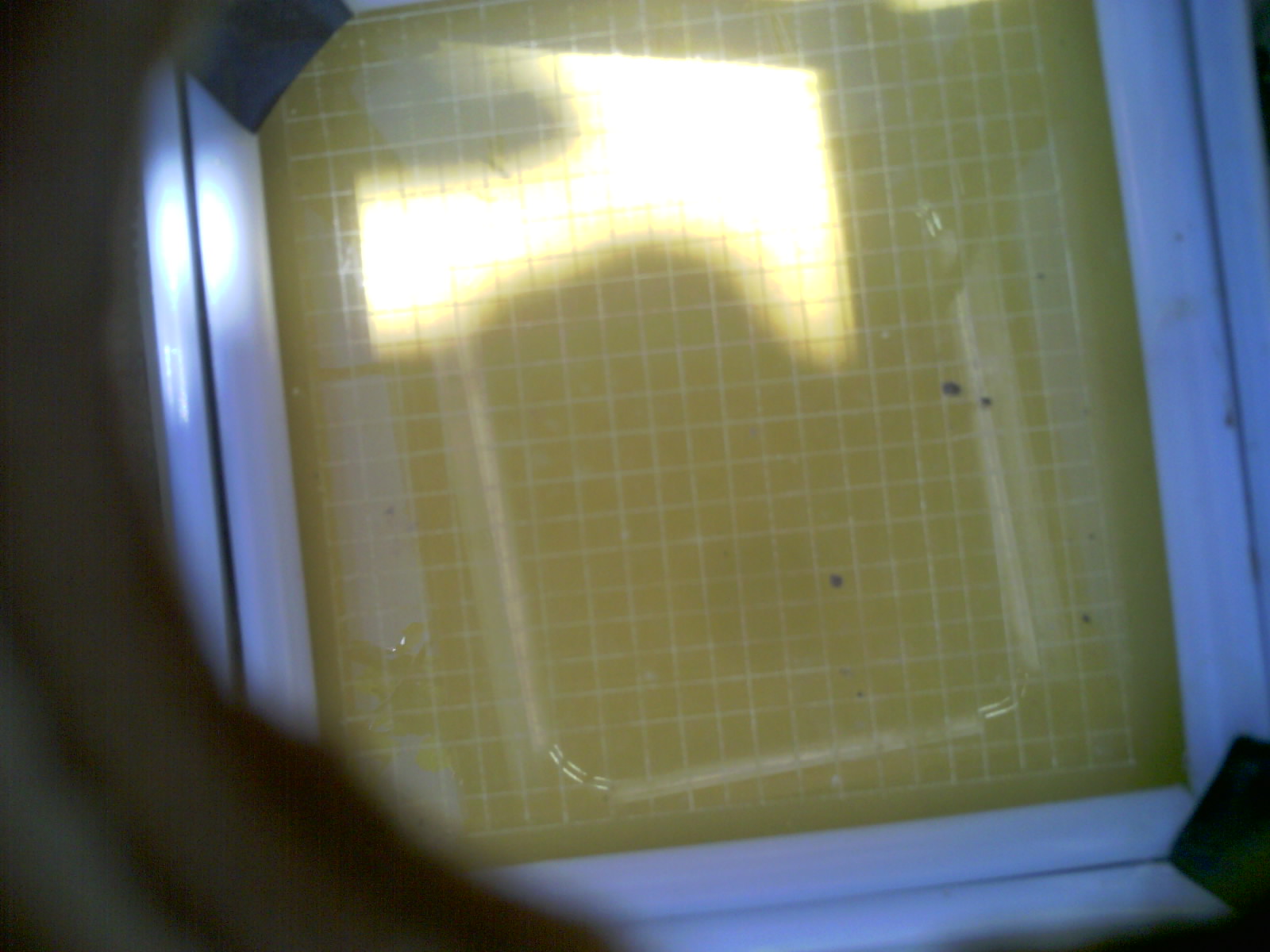 20260703_120712_UXGA_Q3.jpg
