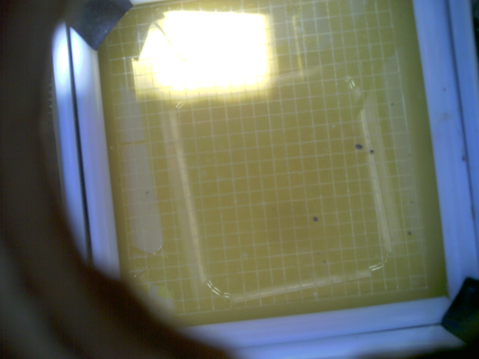 20260703_121450_UXGA_Q3.jpg