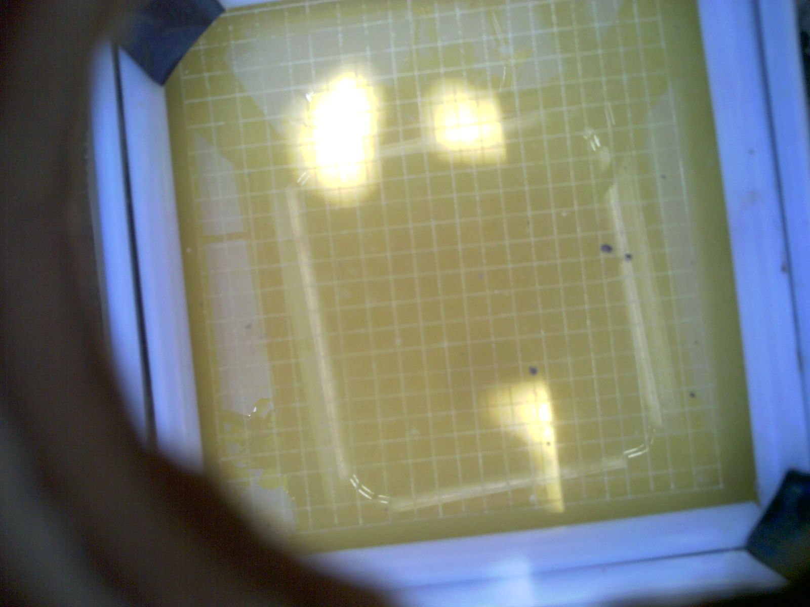 20260703_122318_UXGA_Q3.jpg