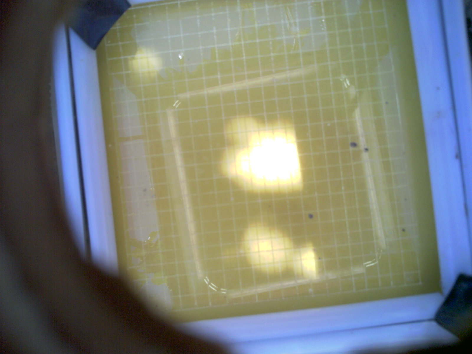 20260703_123137_UXGA_Q3.jpg
