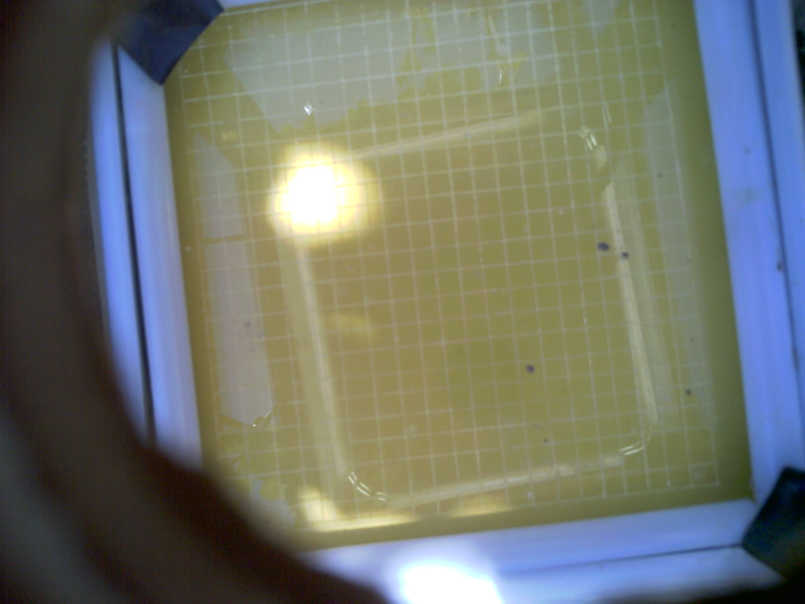 20260703_123846_UXGA_Q3.jpg