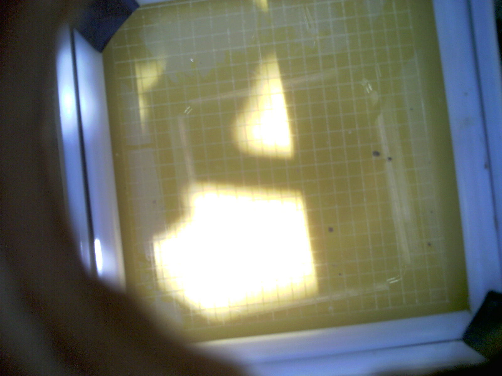 20260703_124737_UXGA_Q3.jpg