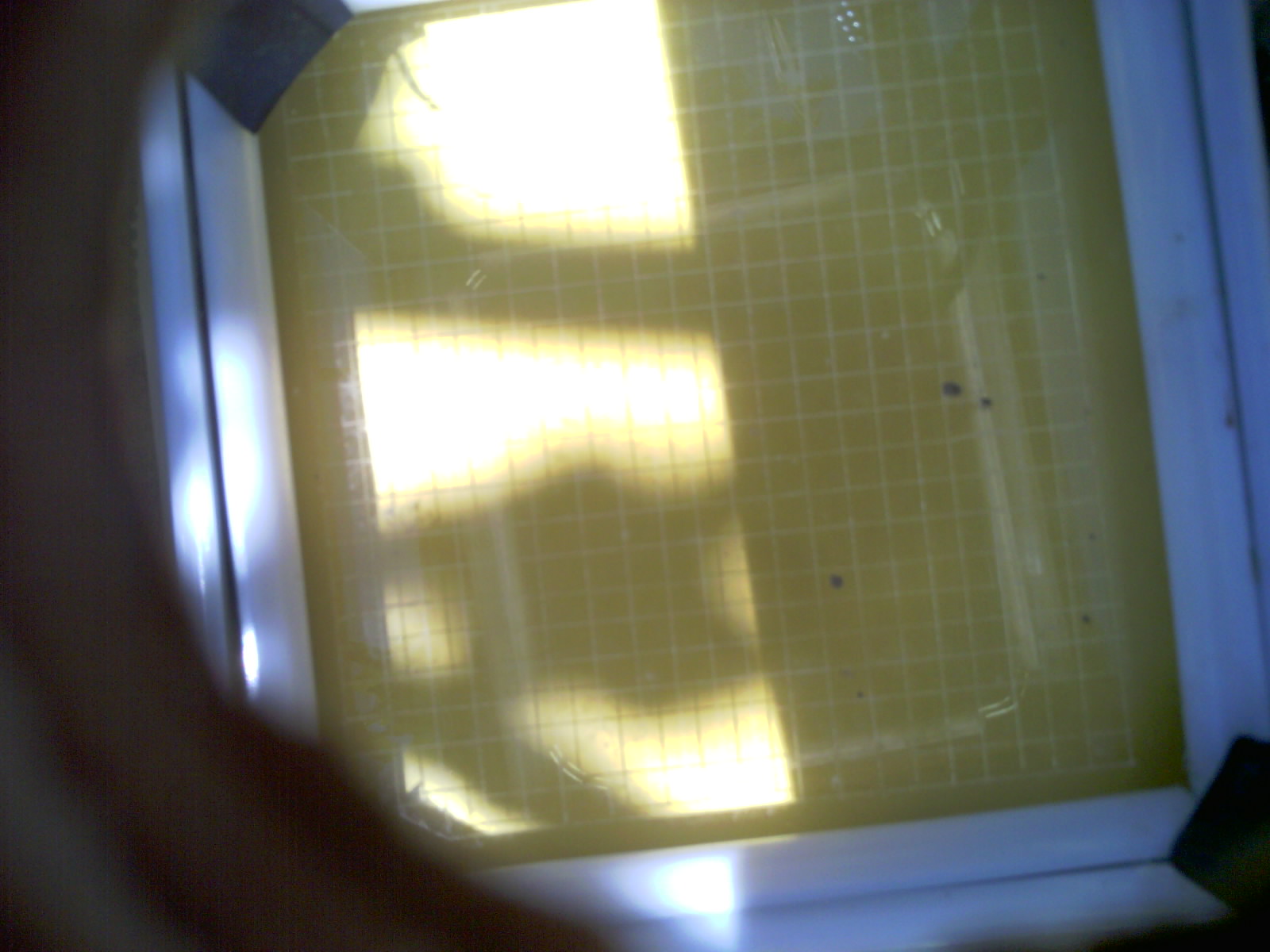 20260703_125528_UXGA_Q3.jpg