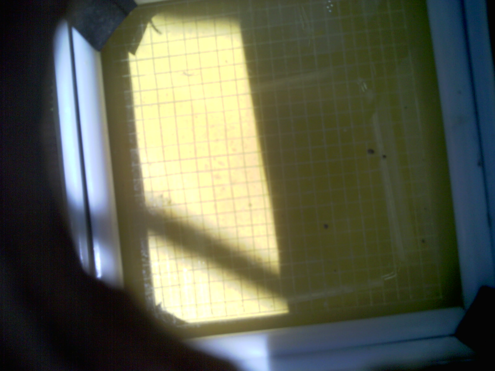 20260703_131318_UXGA_Q3.jpg
