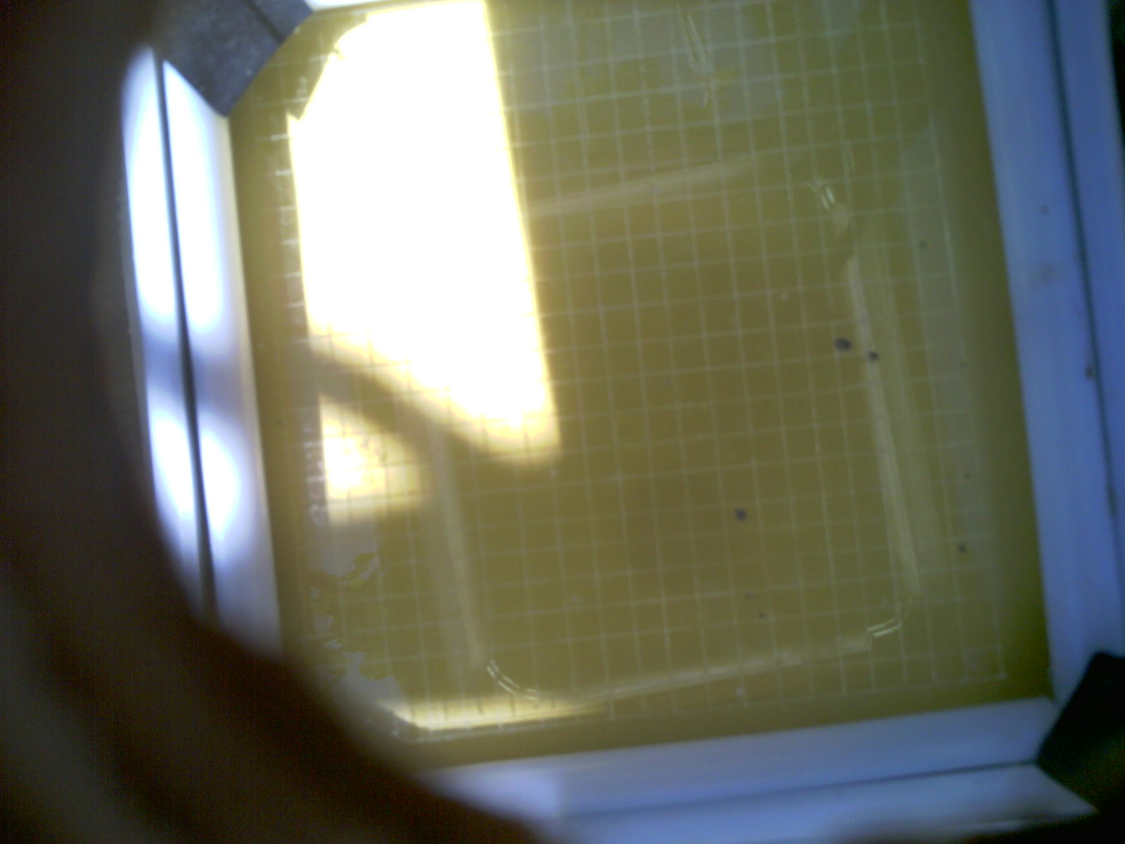 20260703_132841_UXGA_Q3.jpg