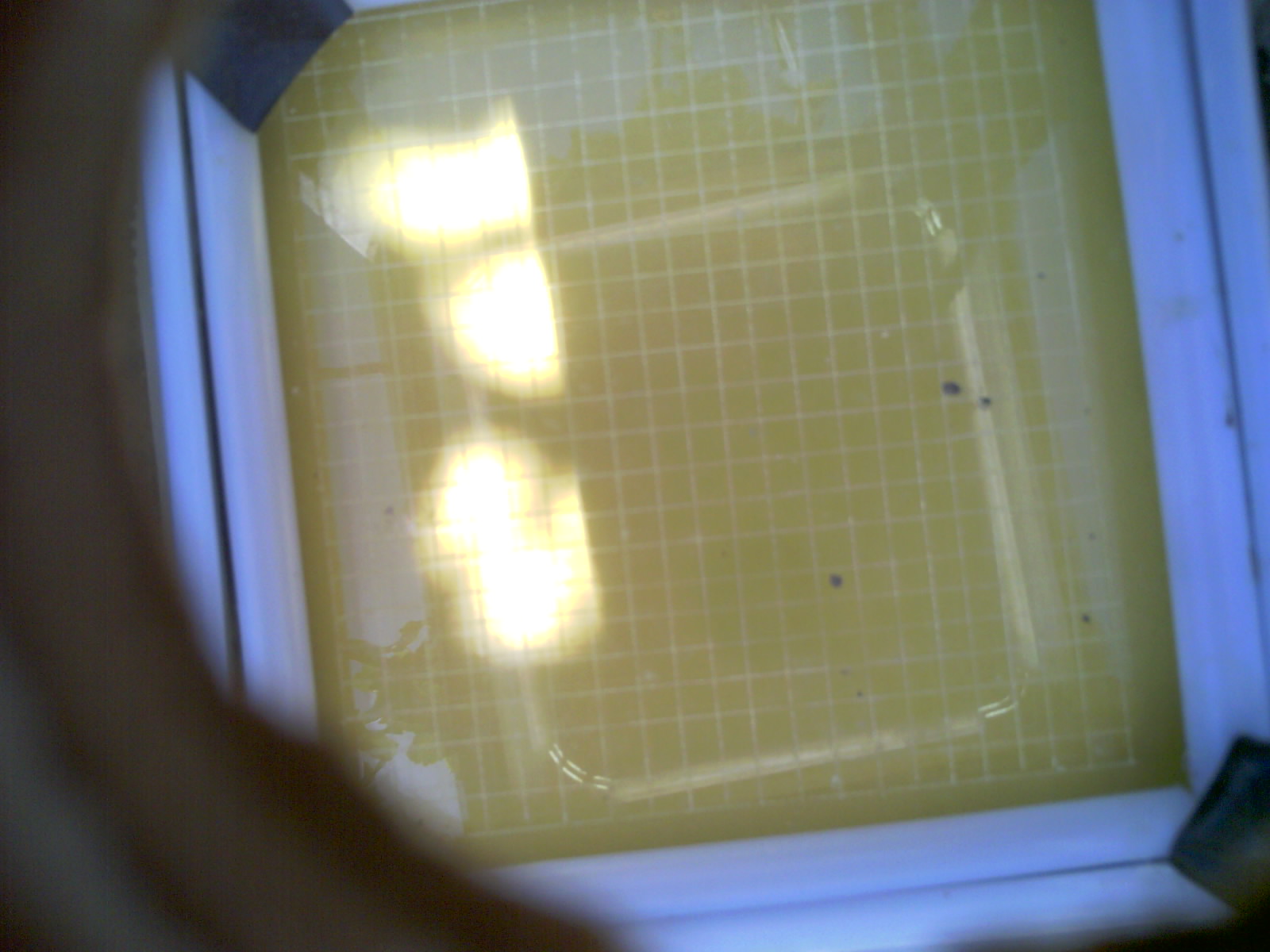 20260703_134421_UXGA_Q3.jpg