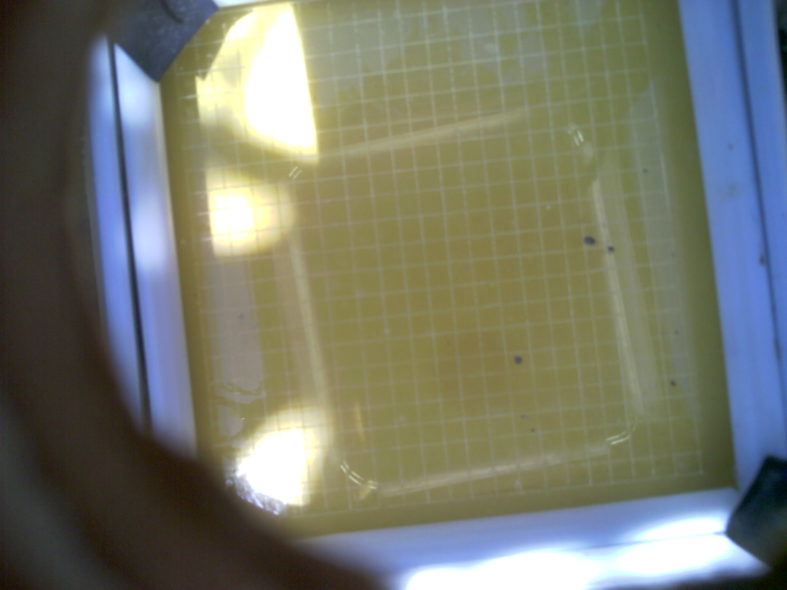 20260703_135003_UXGA_Q3.jpg