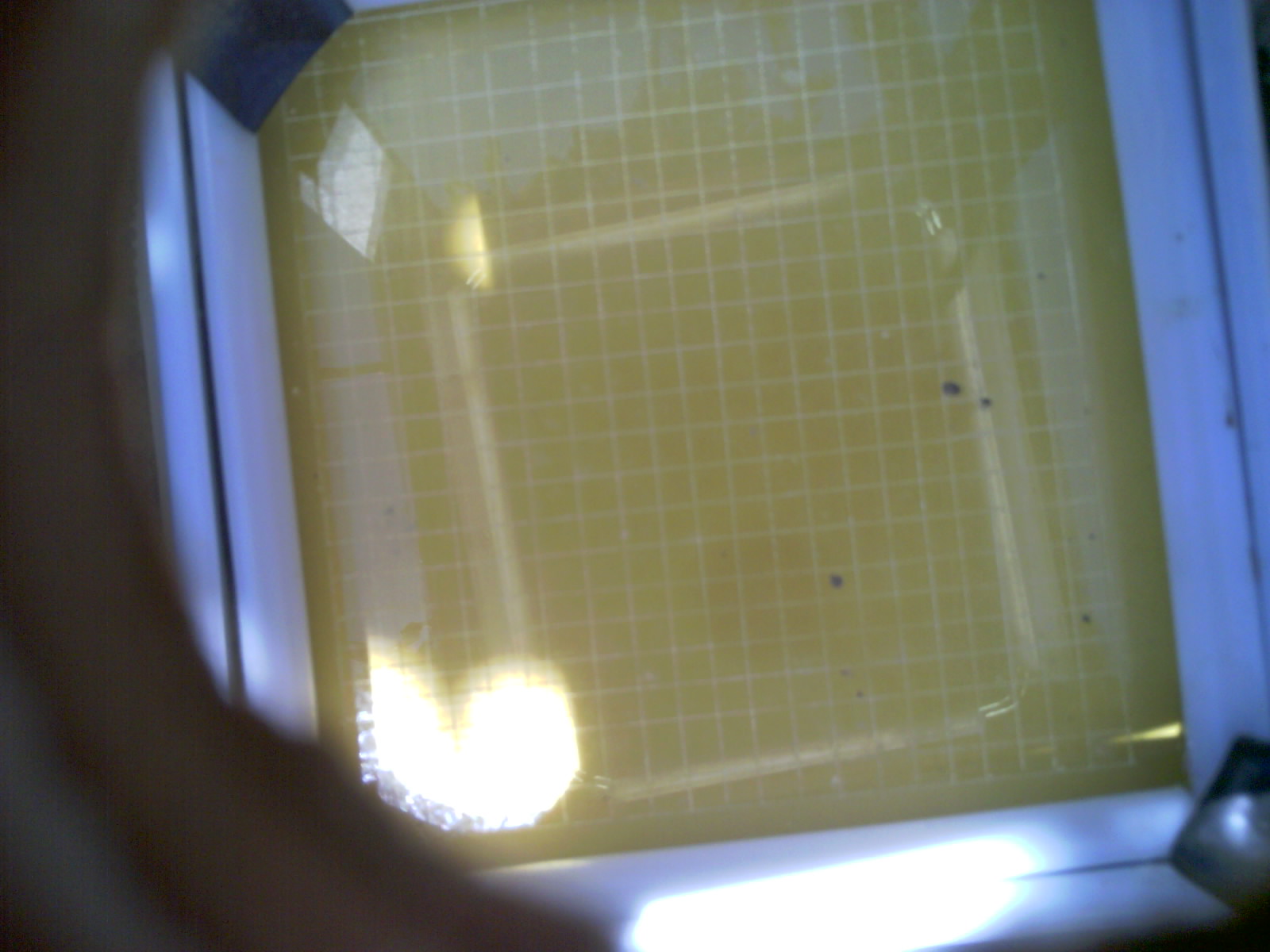 20260703_135546_UXGA_Q3.jpg