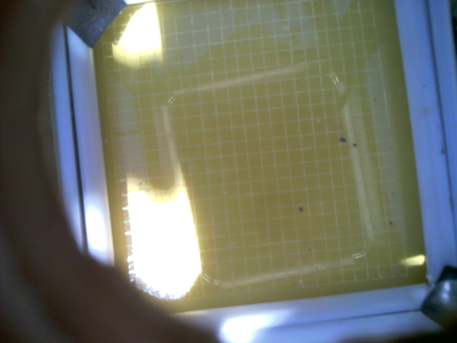 20260703_140326_UXGA_Q3.jpg
