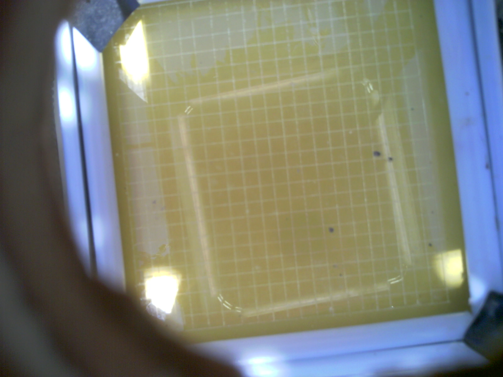 20260703_143030_UXGA_Q3.jpg