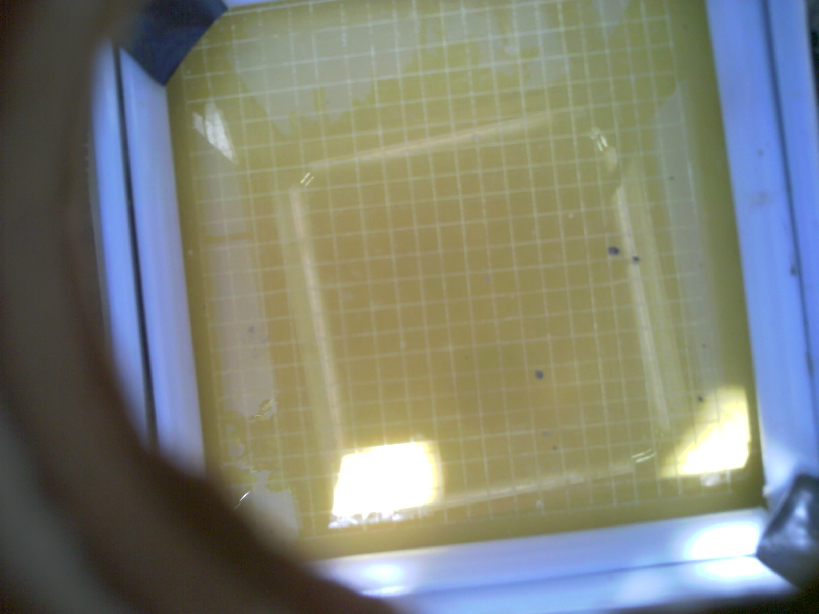 20260703_144451_UXGA_Q3.jpg