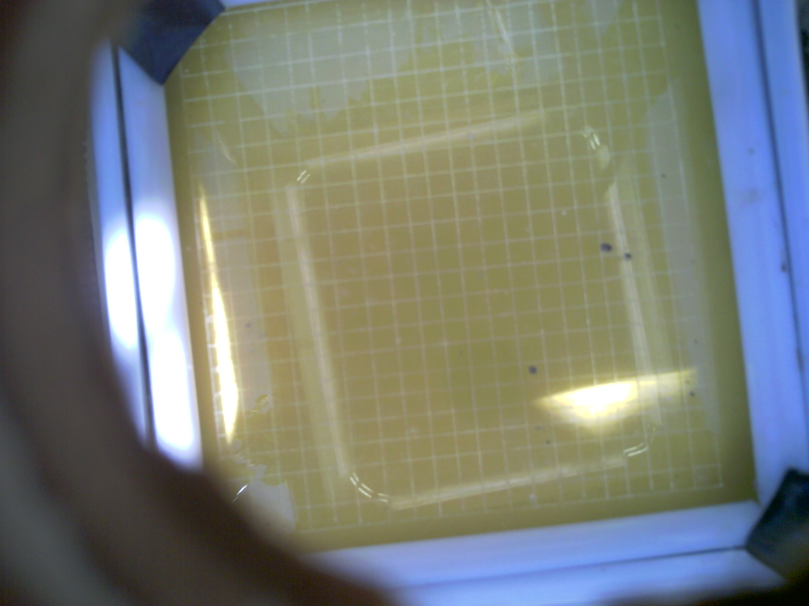 20260703_145254_UXGA_Q3.jpg