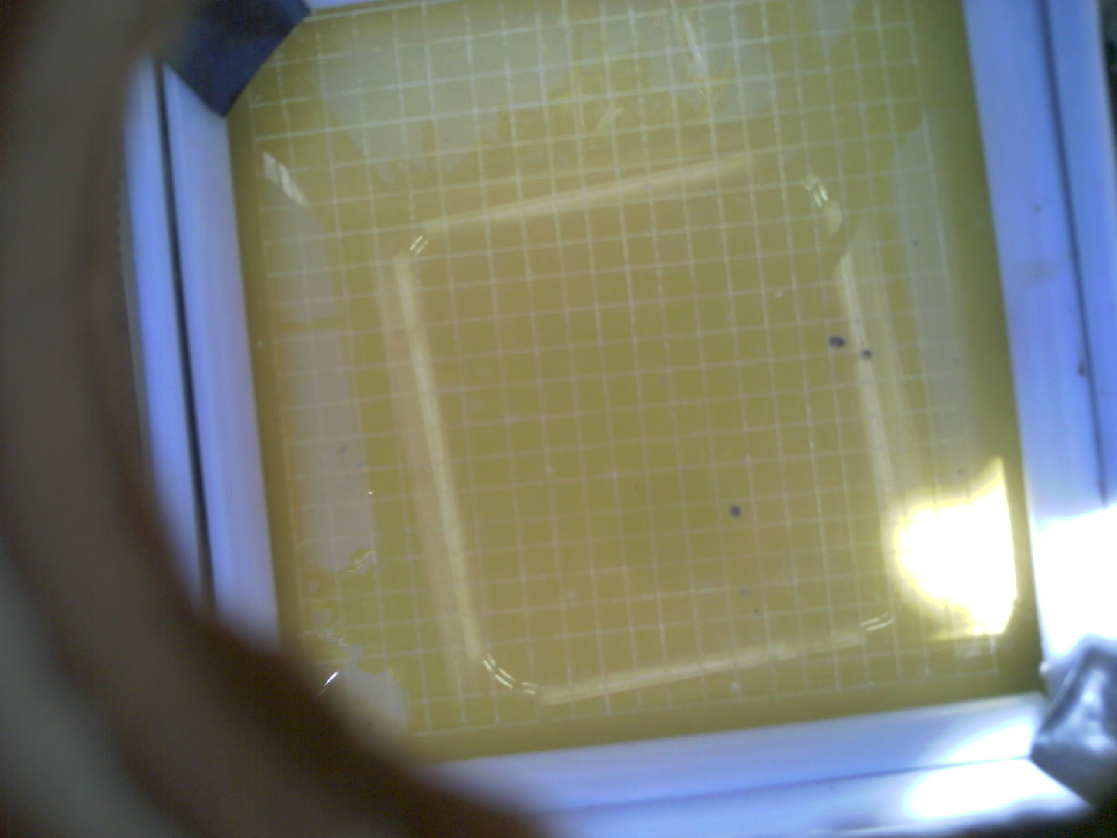 20260703_150622_UXGA_Q3.jpg