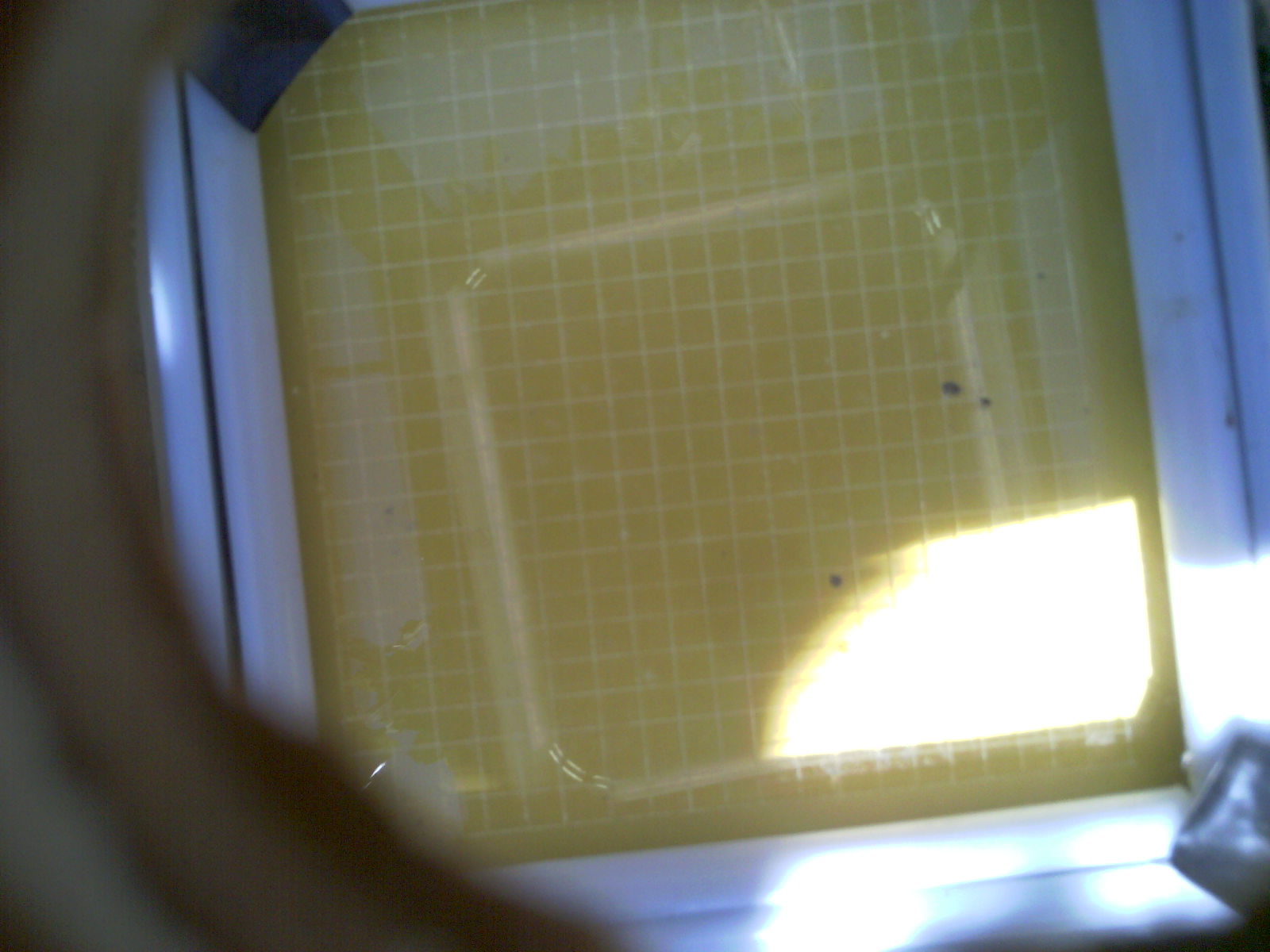 20260703_151214_UXGA_Q3.jpg