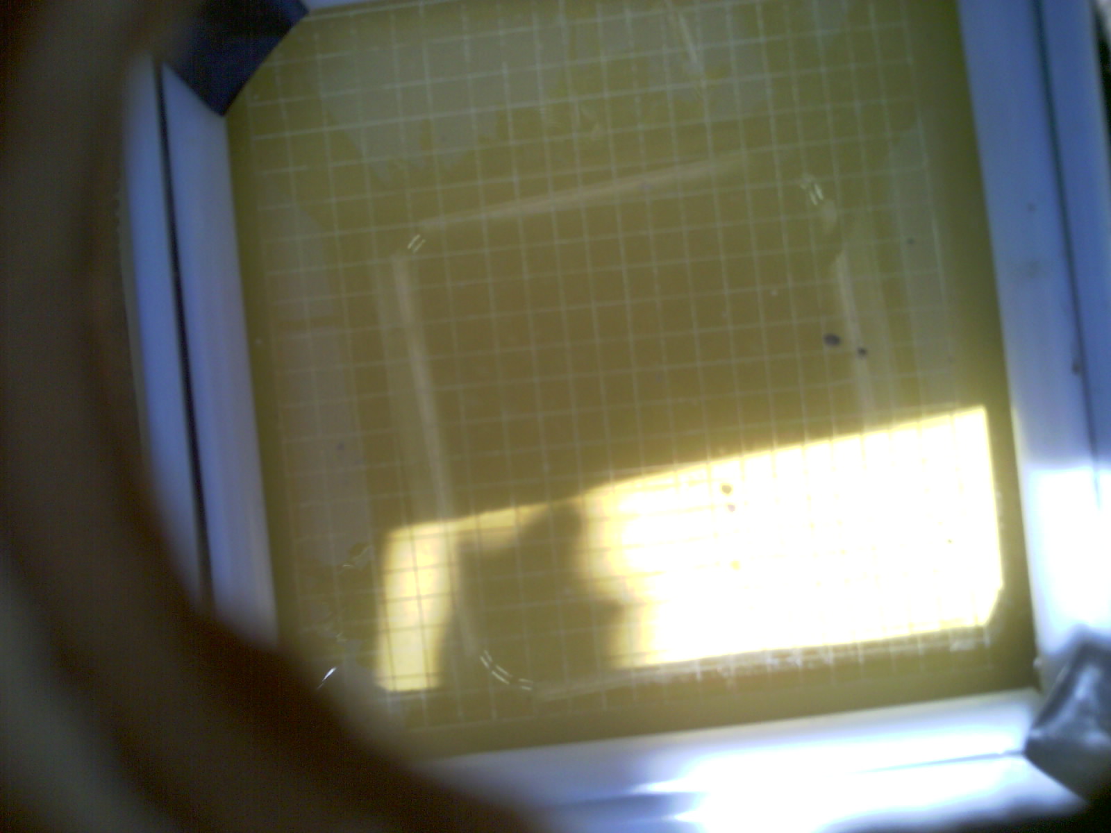 20260703_152348_UXGA_Q3.jpg