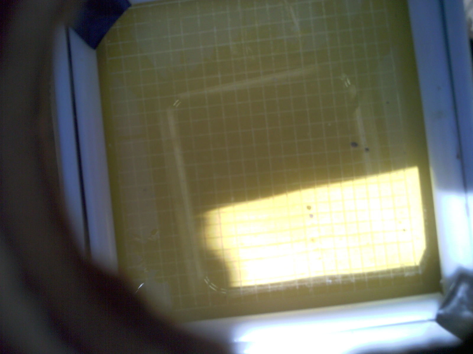 20260703_152928_UXGA_Q3.jpg
