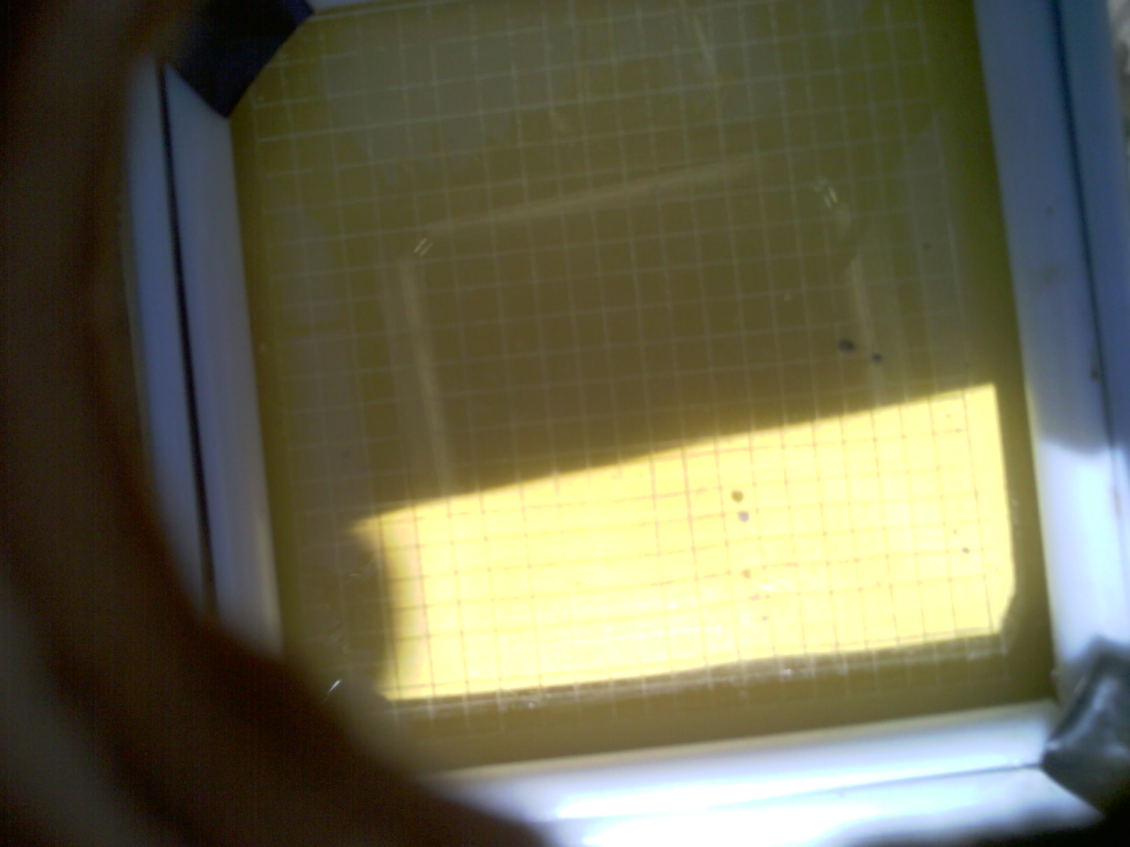 20260703_153508_UXGA_Q3.jpg