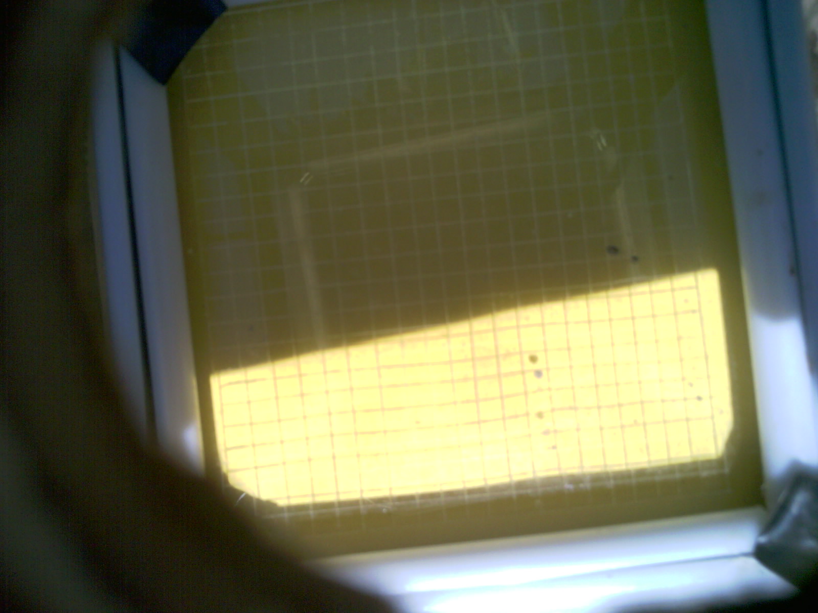 20260703_154049_UXGA_Q3.jpg