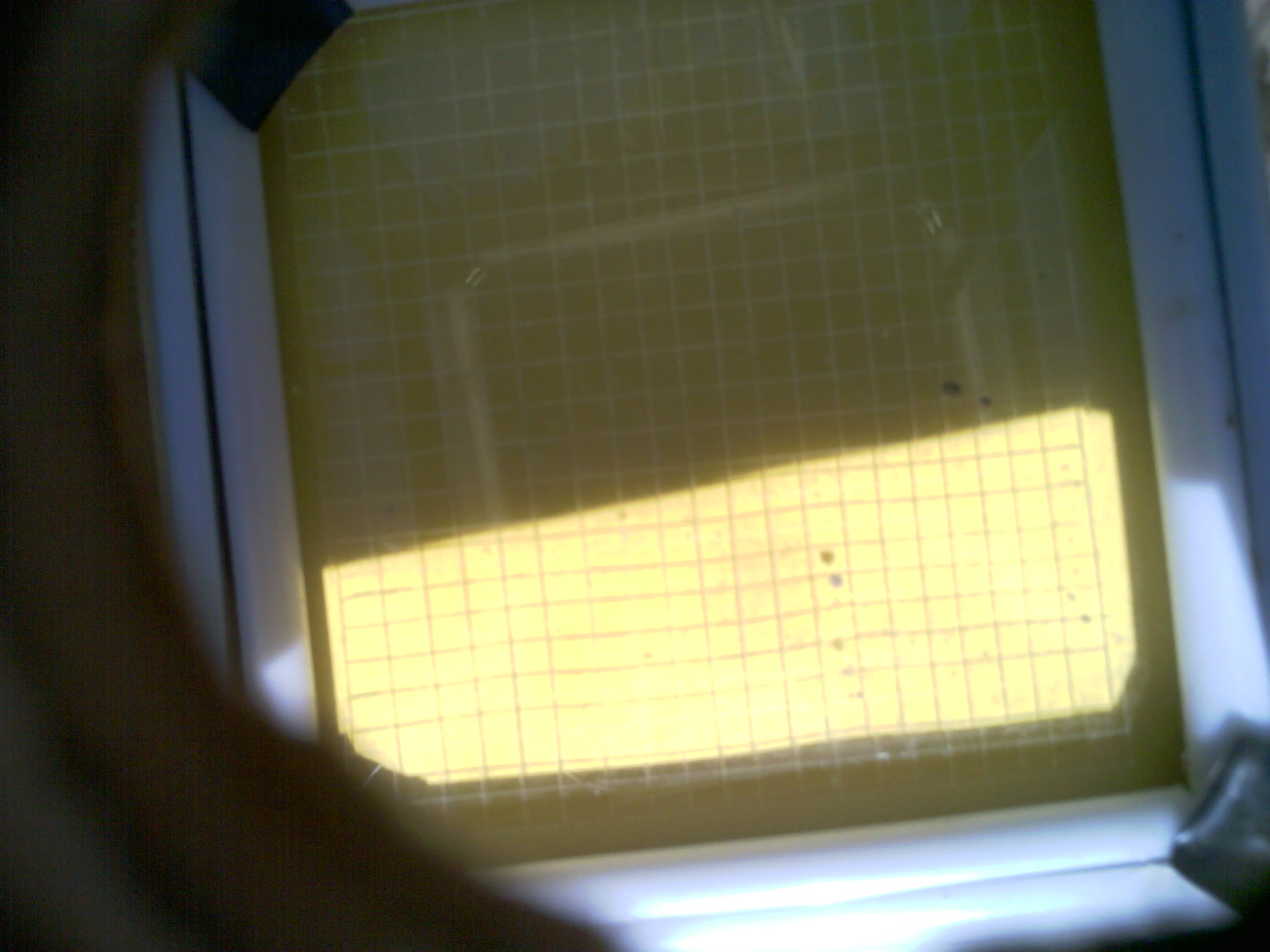 20260703_154630_UXGA_Q3.jpg