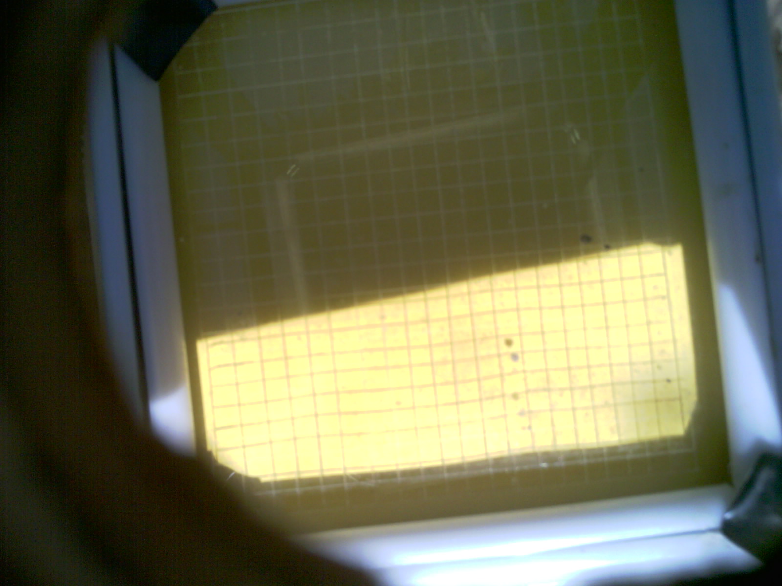 20260703_155209_UXGA_Q3.jpg