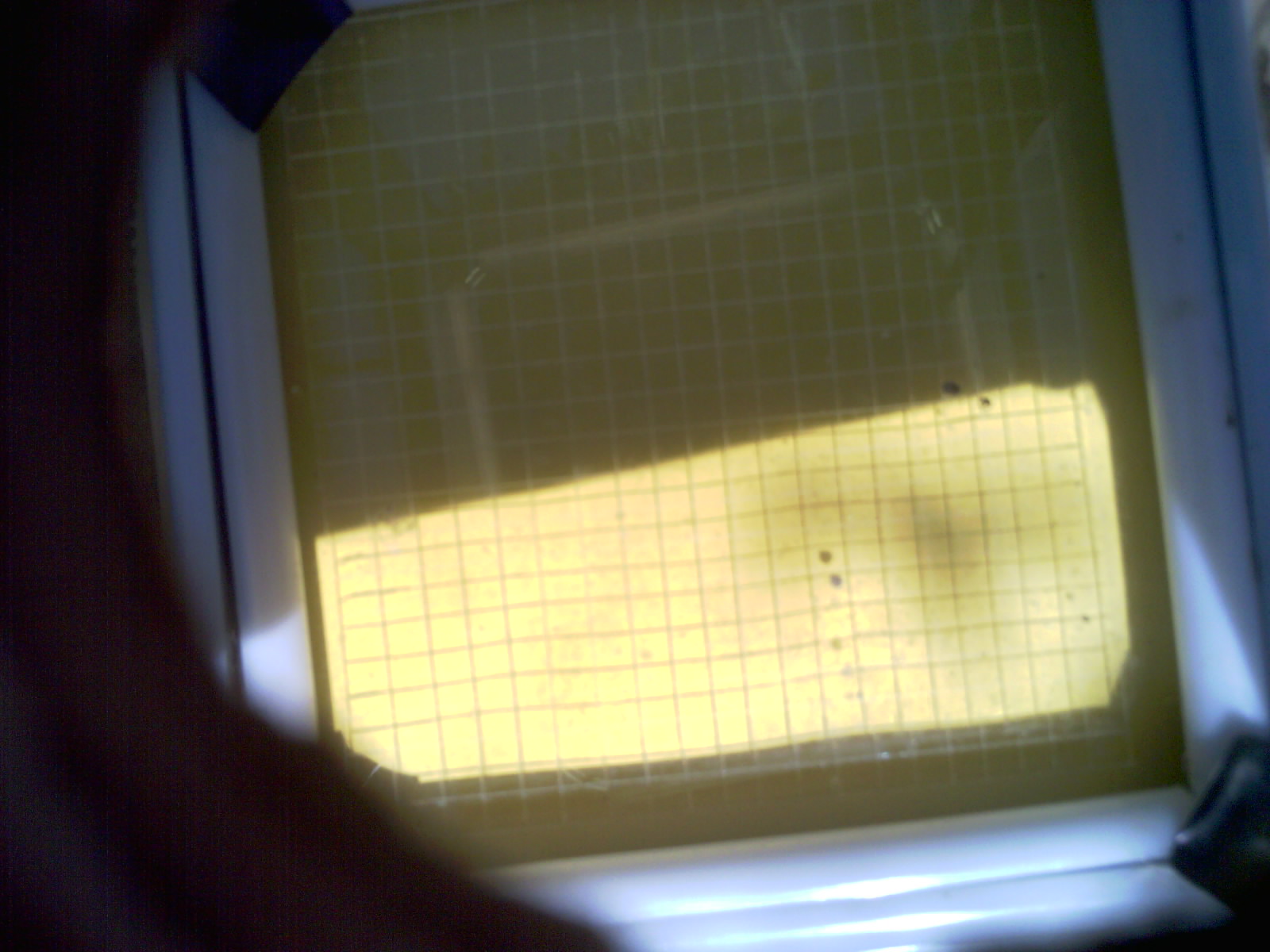 20260703_155751_UXGA_Q3.jpg