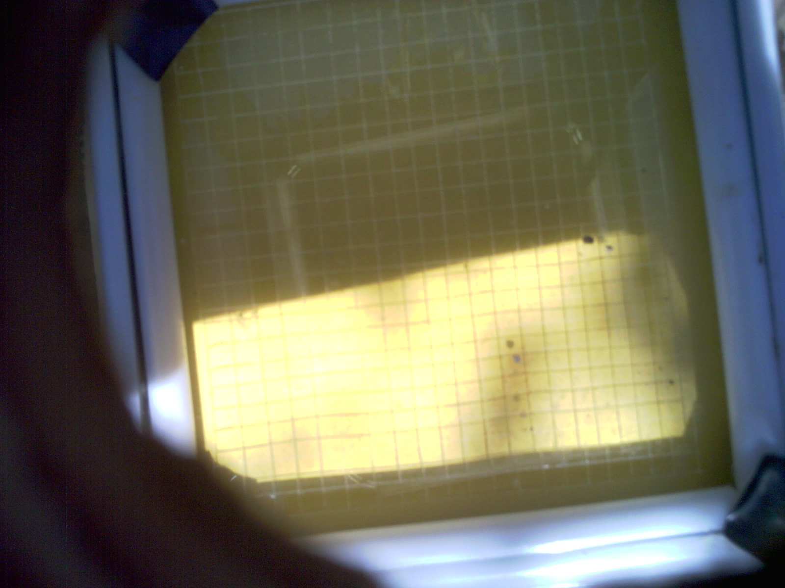 20260703_160330_UXGA_Q3.jpg