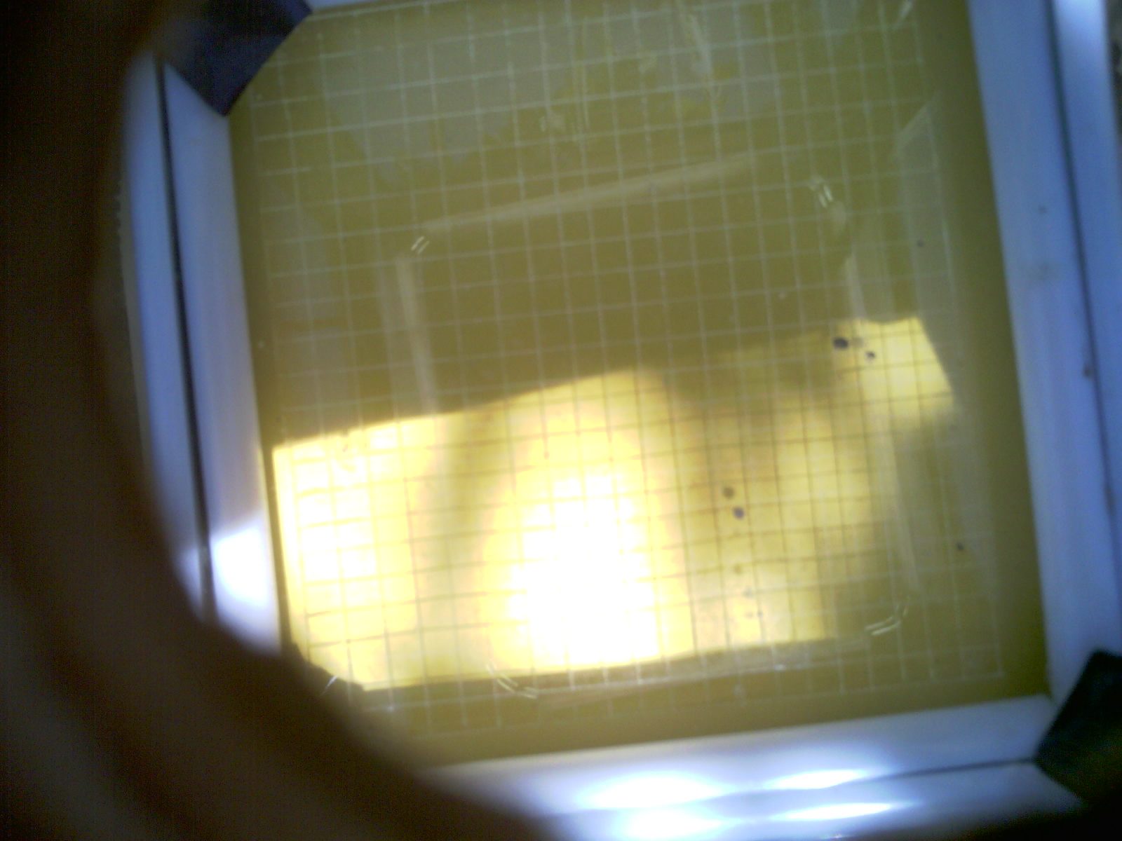 20260703_160918_UXGA_Q3.jpg