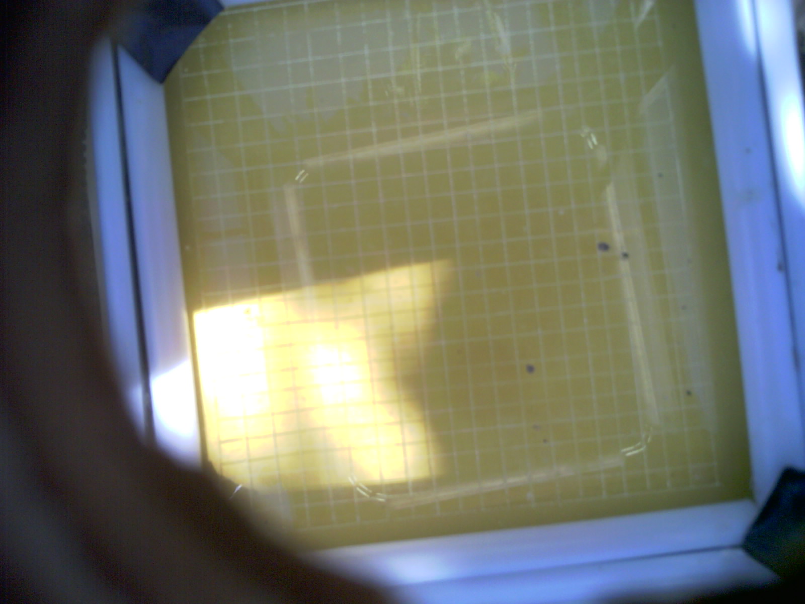 20260703_161501_UXGA_Q3.jpg