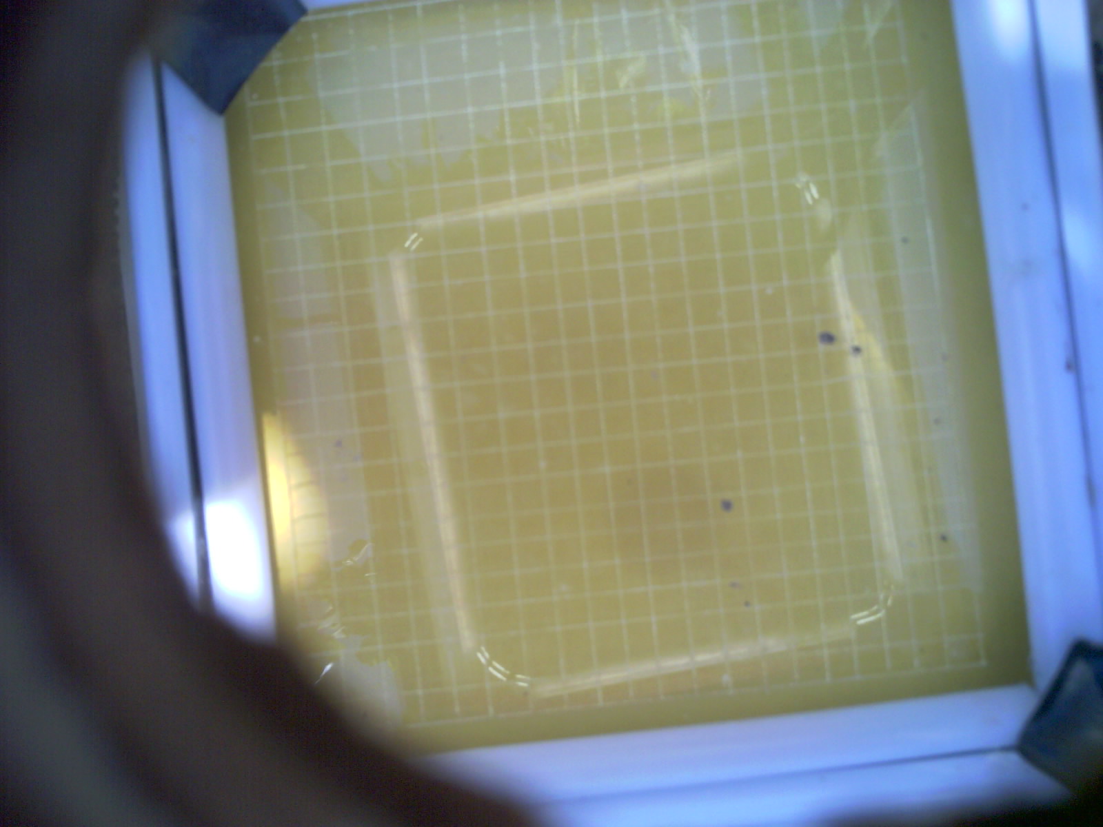20260703_162044_UXGA_Q3.jpg