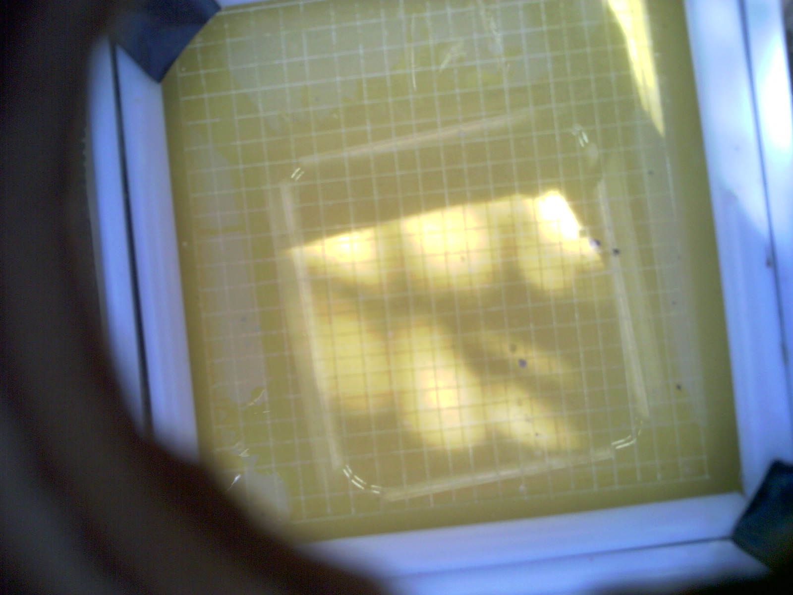 20260703_163759_UXGA_Q3.jpg