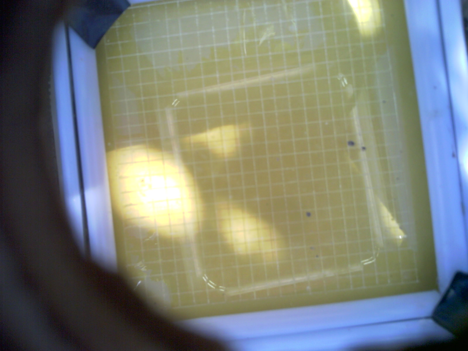 20260703_164405_UXGA_Q3.jpg