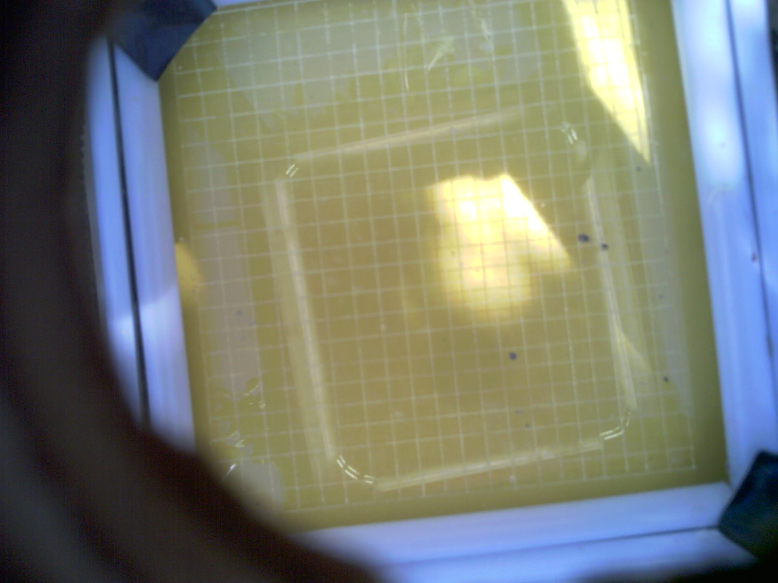 20260703_165013_UXGA_Q3.jpg
