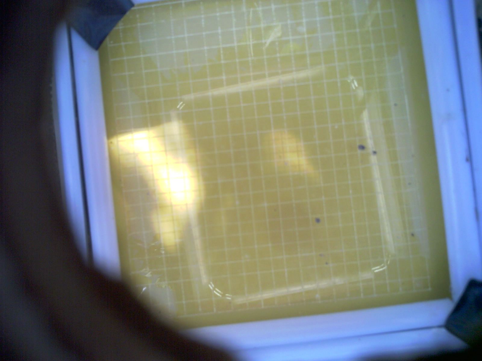 20260703_170306_UXGA_Q3.jpg