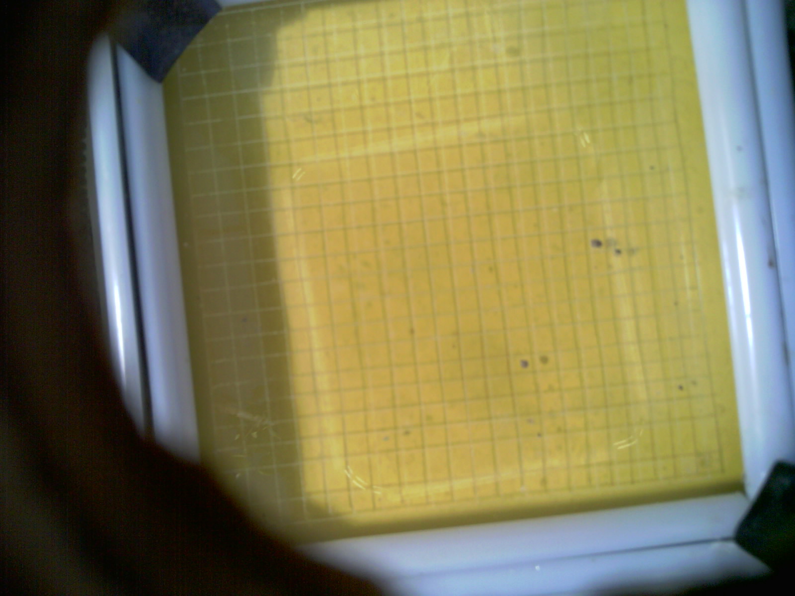 20260703_182612_UXGA_Q3.jpg