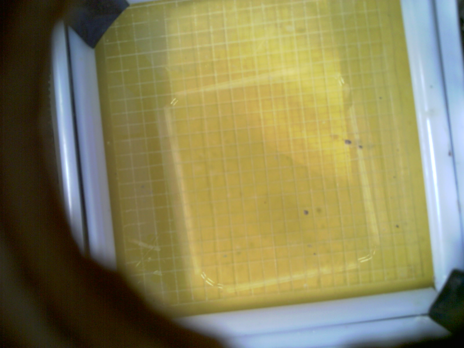 20260703_190105_UXGA_Q3.jpg