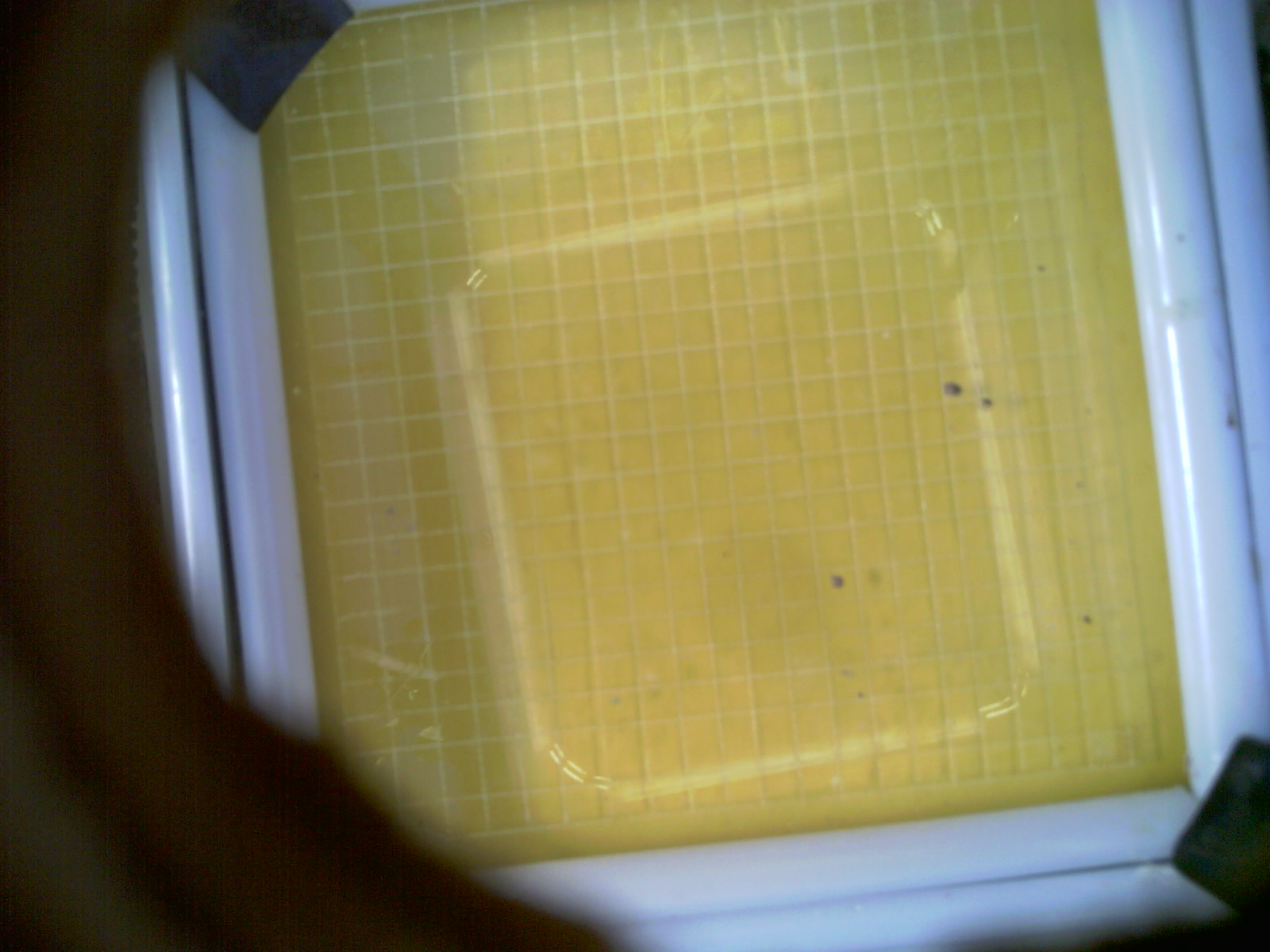 20260703_191826_UXGA_Q3.jpg