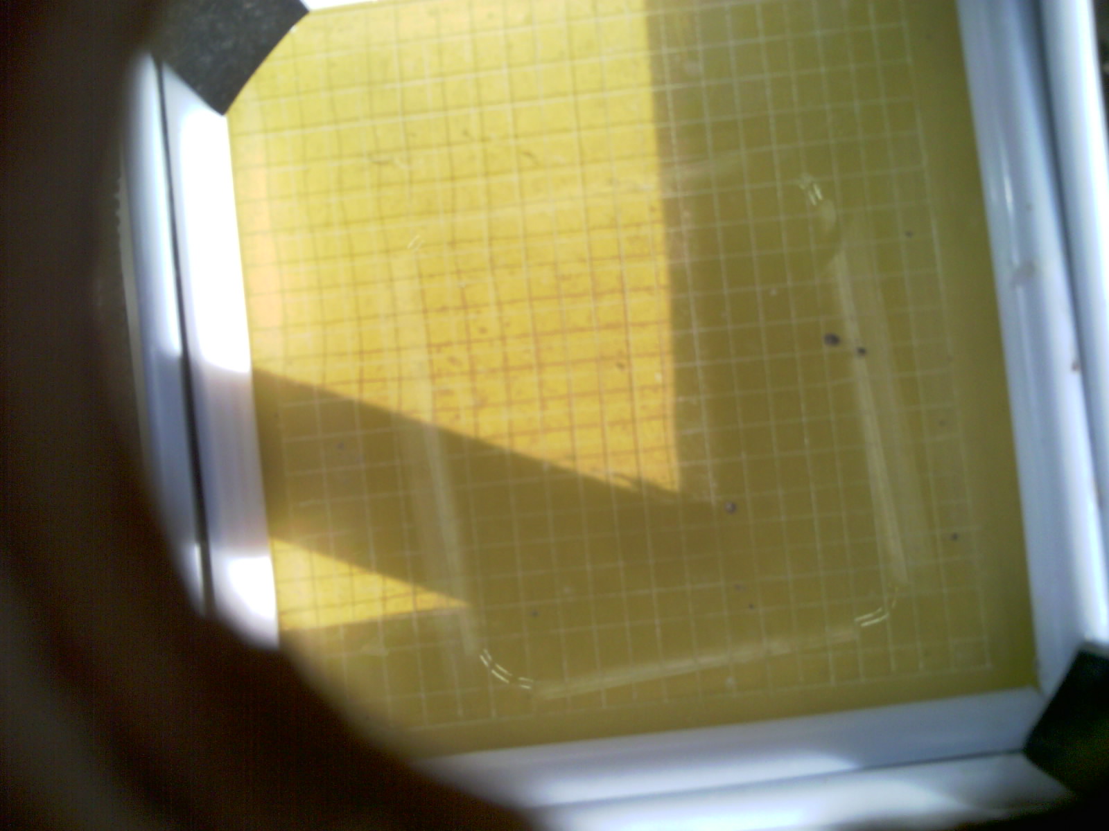 20260703_201318_UXGA_Q3.jpg