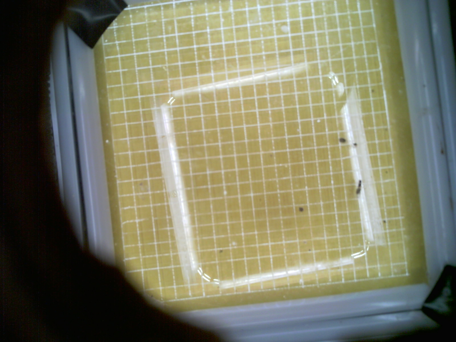 20260703_230549_UXGA_Q3.jpg