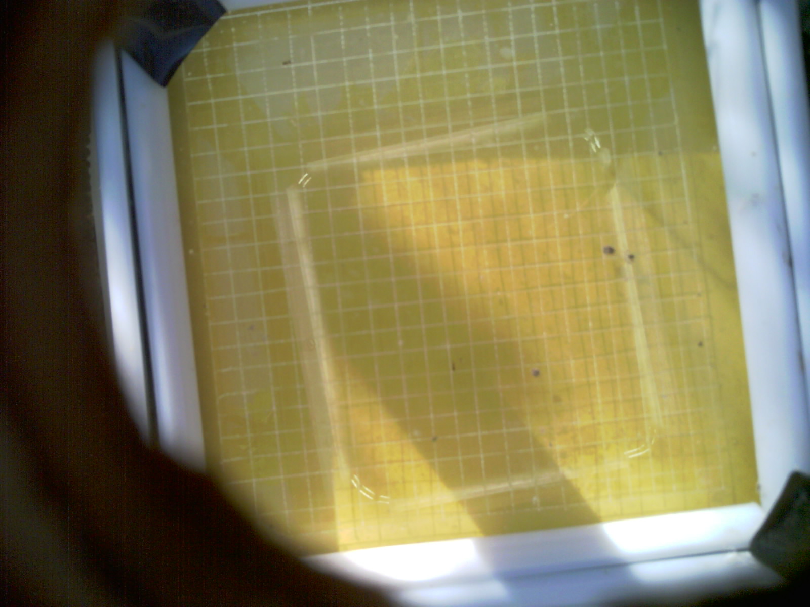 20260704_081256_UXGA_Q3.jpg