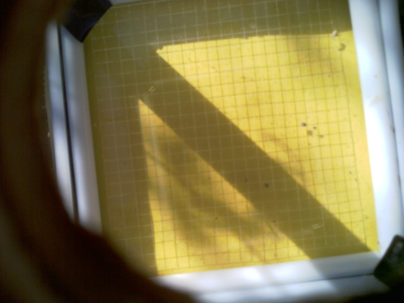 20260704_090948_UXGA_Q3.jpg
