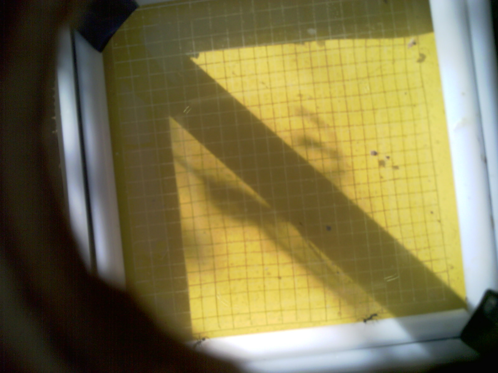 20260704_091611_UXGA_Q3.jpg